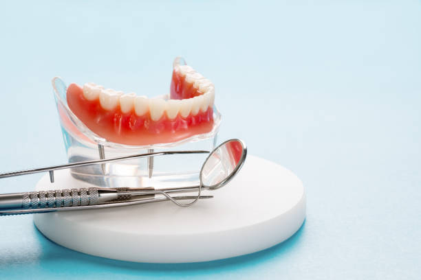 Best Preventive Dentistry  in Salisbury, MO